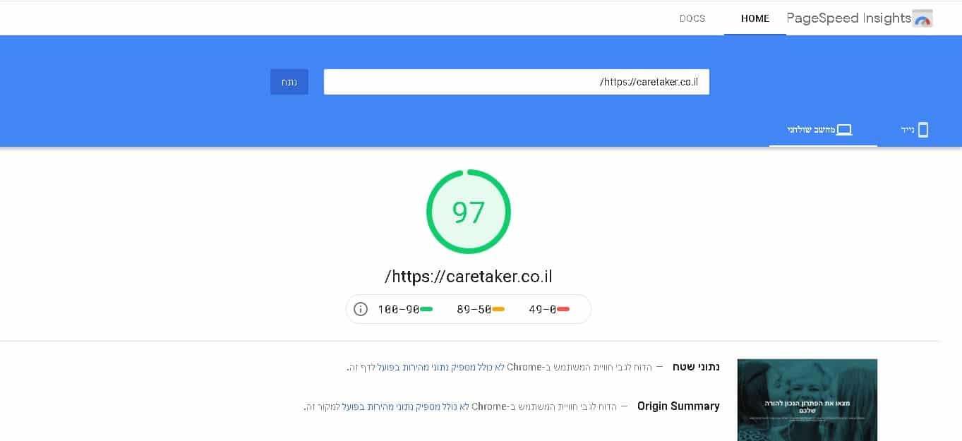 ציון PageSpeed של המטפלת