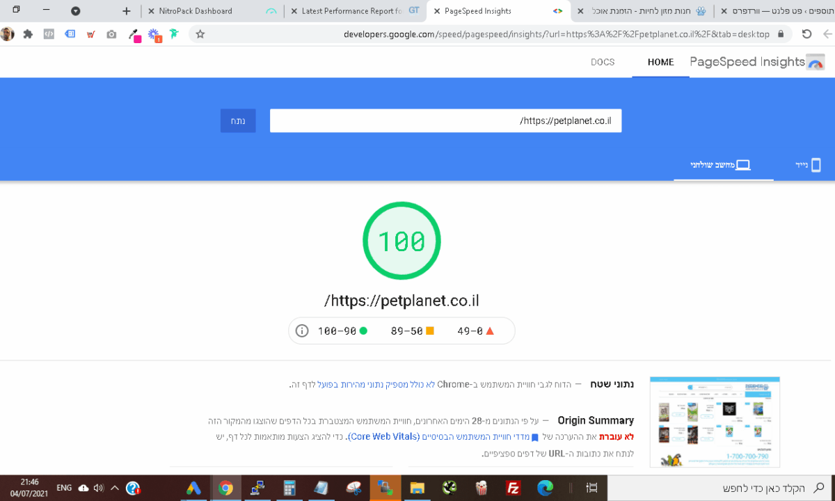 ציון PageSpeed 100 של Pet Planet